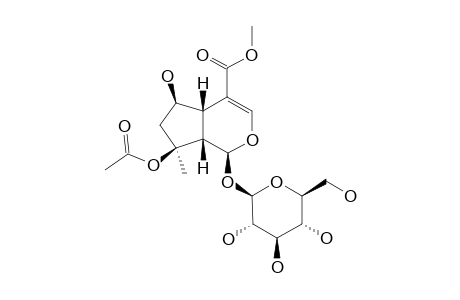 BARLERIN;8-O-ACETYLSHANZHISIDE-METHYLESTER