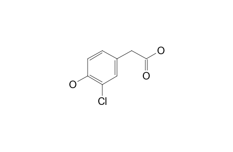 3-Chloro-4-hydroxyphenylacetic acid