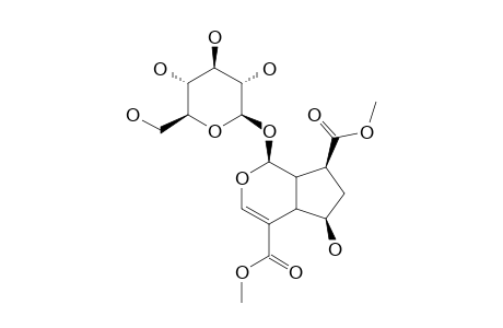 BETA-DIHYDROGRISELINOSIDE