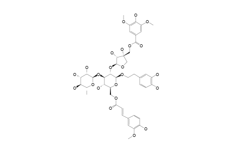 #7;NEWBOULDIOSIDE-B;BETA-(3,4-DIHYDROXYPHENYL)-ETHYL-5-O-SYRINGOYL-BETA-D-APIOFURANOSYLOXY-(1->2)-O-[ALPHA-L-RHAMNOPYRANOSYL-(1->3)]-6-O-E-FERULOYL-BETA-D-GLUC