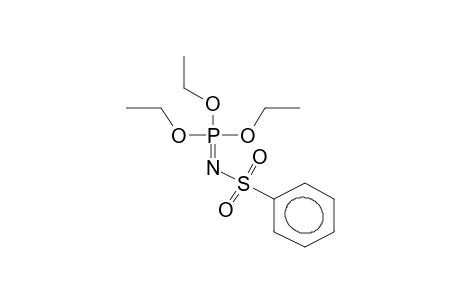 TRIETHYL N-PHENYLSULPHONYLIMIDOPHOSPHATE