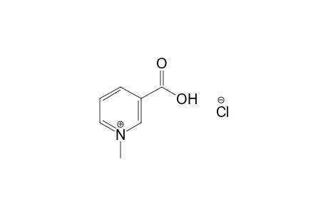 Trigonelline chloride