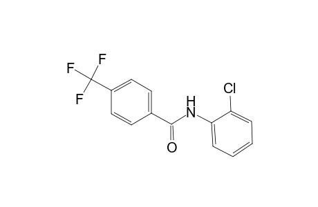 benzamide, N-(2-chlorophenyl)-4-(trifluoromethyl)-