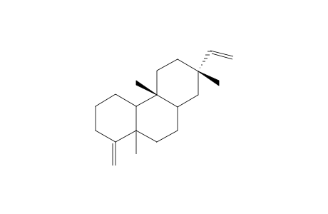 Dolabradiene