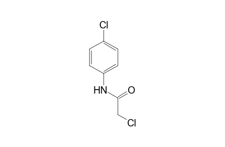 2,4'-Dichloroacetanilide