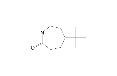 5-tert-butylhexahydro-2H-azepin-2-one