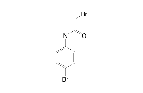 2,4'-dibromoacetanilide