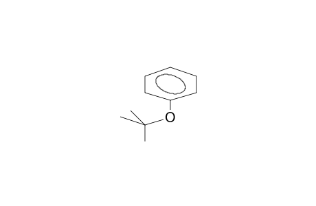 PHENYL-TERT-BUTYLETHER