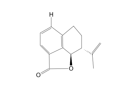 PLATYPHILLIDE