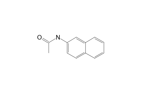 ACETAMIDE, N-/2-NAPHTHYL/-,