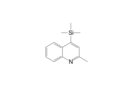 4-(TRIMETHYLSILYL)-QUINALDINE