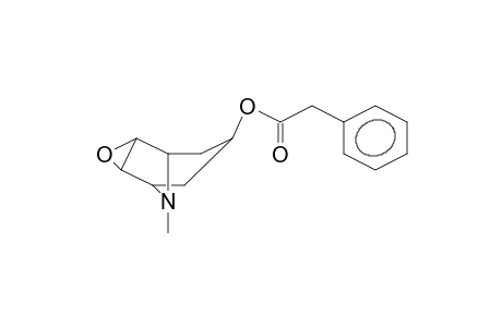 OXITROPIUM-ARTIFACT 1