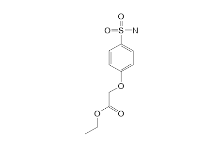 (p-sulfamoylphenoxy)acetic acid, ethyl ester