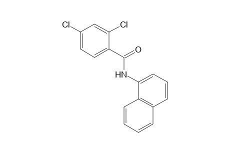 2,4-Dichloro-N-(1-naphthyl)benzamide