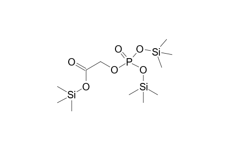 Acetic acid, [[bis[(trimethylsilyl)oxy]phosphinyl]oxy]-, trimethylsilyl ester