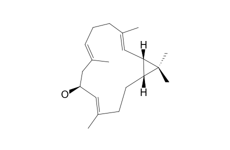 SINULARCASBANE-D