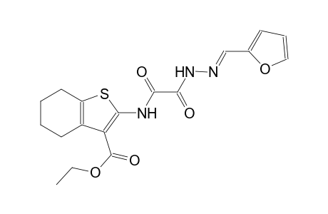 ethyl 2-{[[(2E)-2-(2-furylmethylene)hydrazino](oxo)acetyl]amino}-4,5,6,7-tetrahydro-1-benzothiophene-3-carboxylate