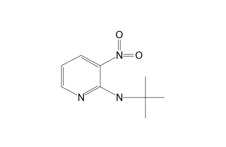 2-(TERT.-BUTYLAMINO)-3-NITROPYRIDINE