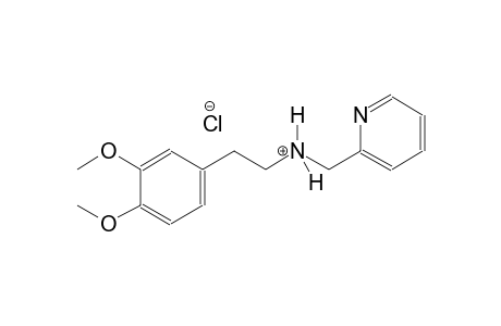 2-pyridinemethanaminium, N-[2-(3,4-dimethoxyphenyl)ethyl]-, chloride