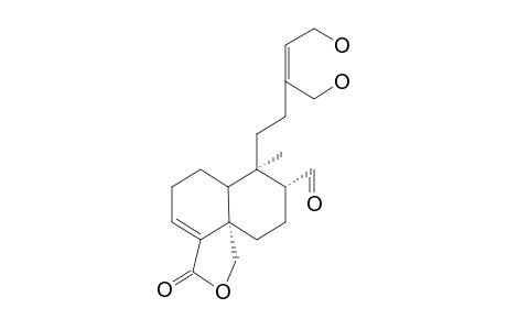 PORTULIDE D