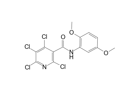 3-pyridinecarboxamide, 2,4,5,6-tetrachloro-N-(2,5-dimethoxyphenyl)-