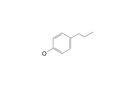 4-Propylphenol