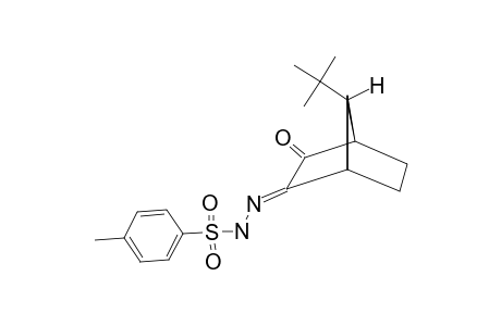 anti-7-tert.-Butyl-bicyclo-[2.2.1]-heptane-2,3-dione, (Z)-monotosylhydrazone