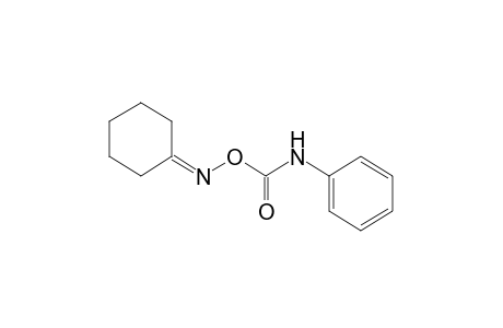 cyclohexanone, O-(phenylcarbamoyl)oxime