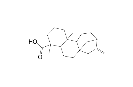 Kaur-16-en-19-oic acid