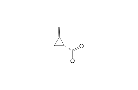 (R)-(METHYLENECYCLOPROPYL)-FORMIC-ACID