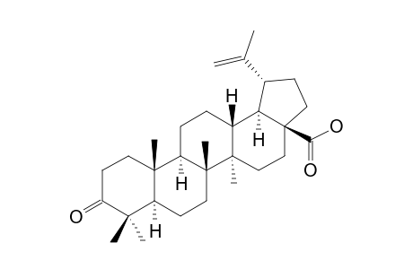 3-oxolup-20(29)-en-28-oic acid