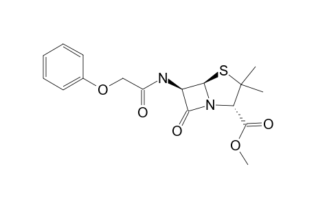 PENICILLIN-V-METHYLESTER