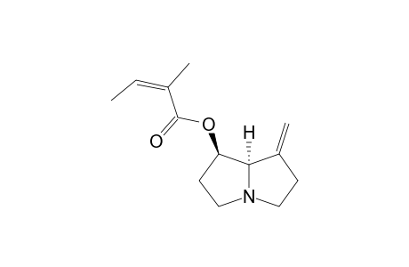 7-BETA-ANGELYL-1-METHYLENE-8-ALPHA-PYRROLIZIDINE