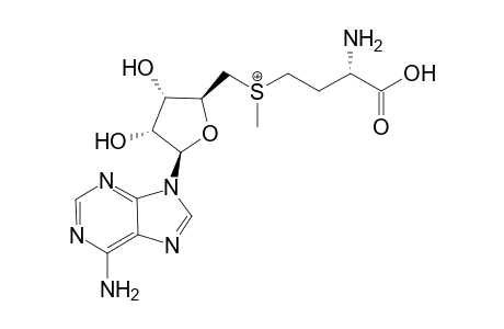 s-(5'-Adenosyl)-L-methionine