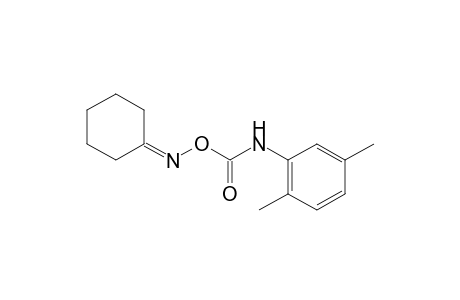 cyclohexanone, O-[(2,5-xylyl)carbamoyl]oxime