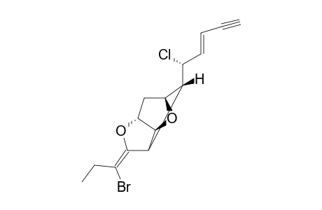 12E-LEMBYNE-A