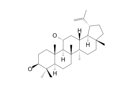 NEPETICIN