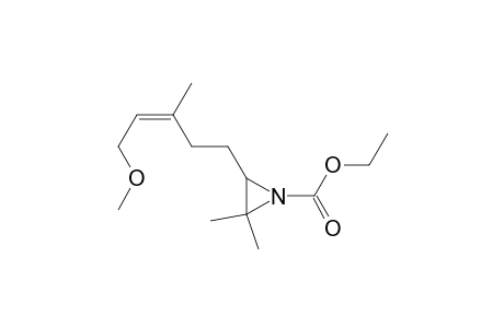 3-[(Z)-5-methoxy-3-methyl-pent-3-enyl]-2,2-dimethyl-ethylenimine-1-carboxylic acid ethyl ester