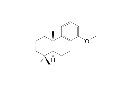 14-METHOXY-PODOCARPA-8,11,13-TRIENE