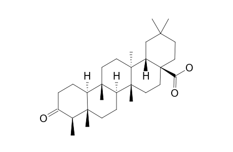 3-OXO-FRIEDELAN-28-OIC-ACID