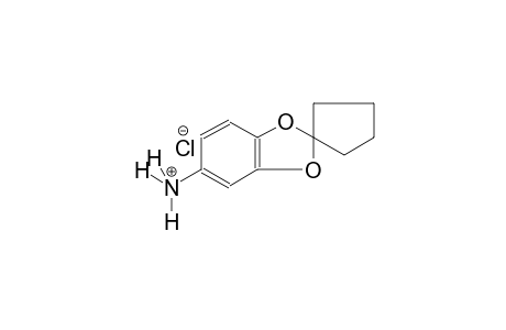 spiro[benzo[d][1,3]dioxole-2,1'-cyclopentan]-5-aminium chloride