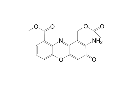 O-acetylcinnabarine - methyl ester