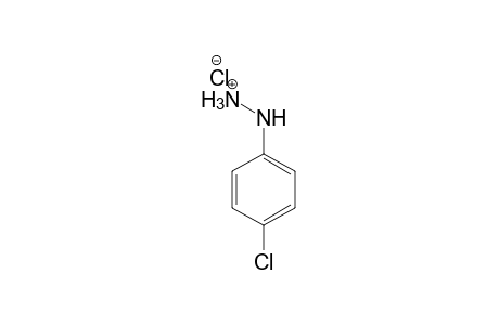 4-Chlorophenylhydrazine hydrochloride