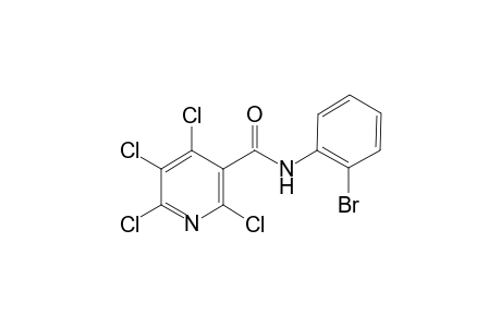 N-(2-Bromo-phenyl)-2,4,5,6-tetrachloro-nicotinamide