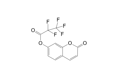 Umbelliferone PFP             @