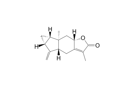 MENELLOIDE-C