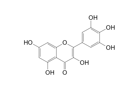 Myricetin