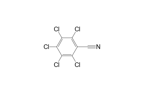 Benzonitrile, pentachloro-