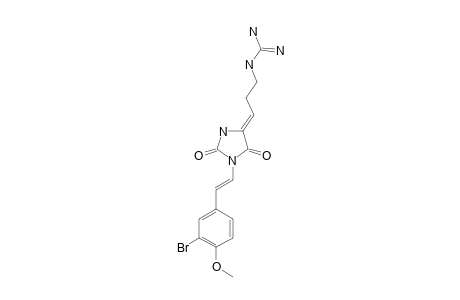 PARAZOANTHINE_E