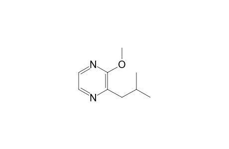 2-Isobutyl-3-methoxy-pyrazine